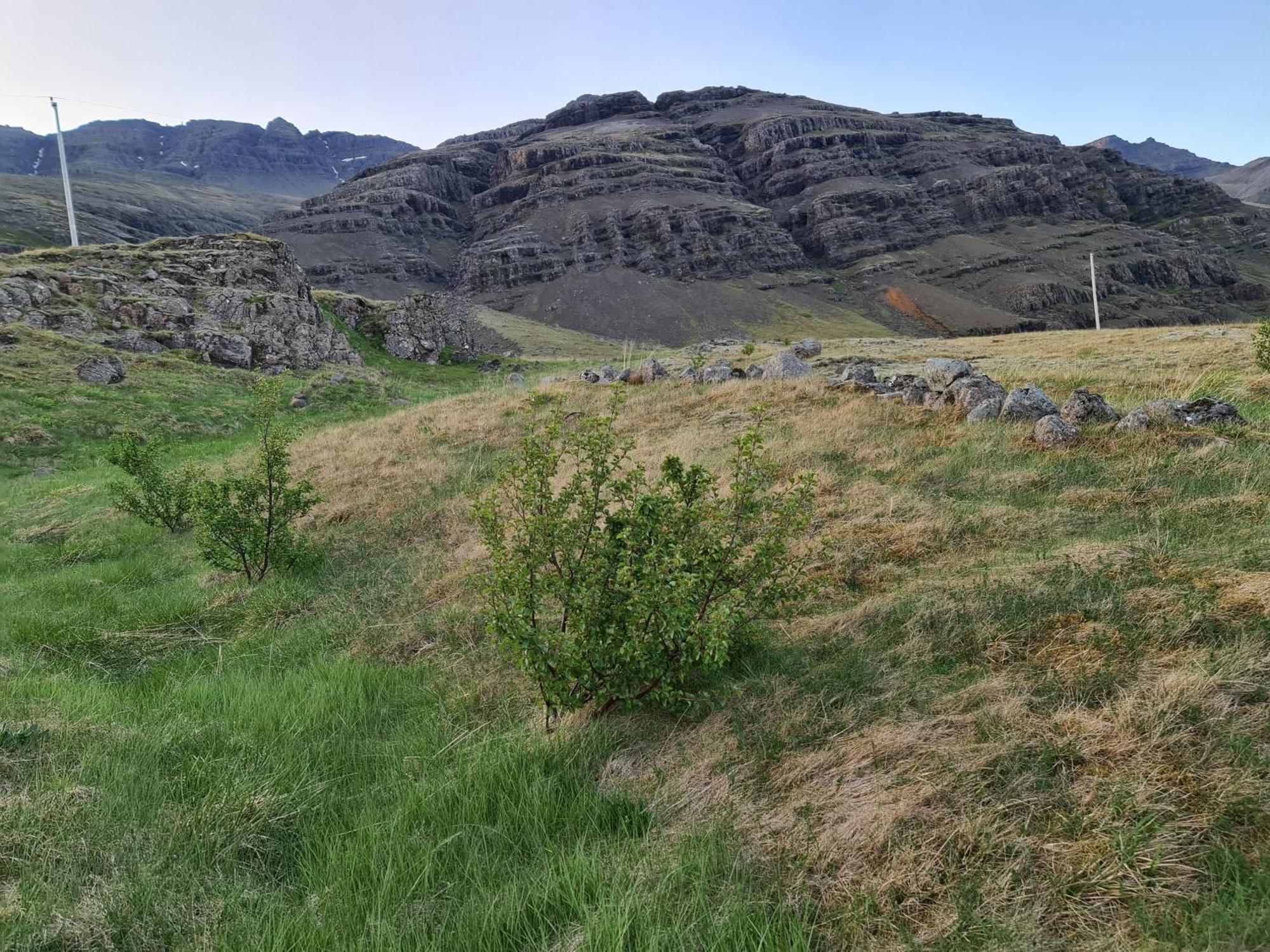 Geithellar Djúpivogur Exterior foto